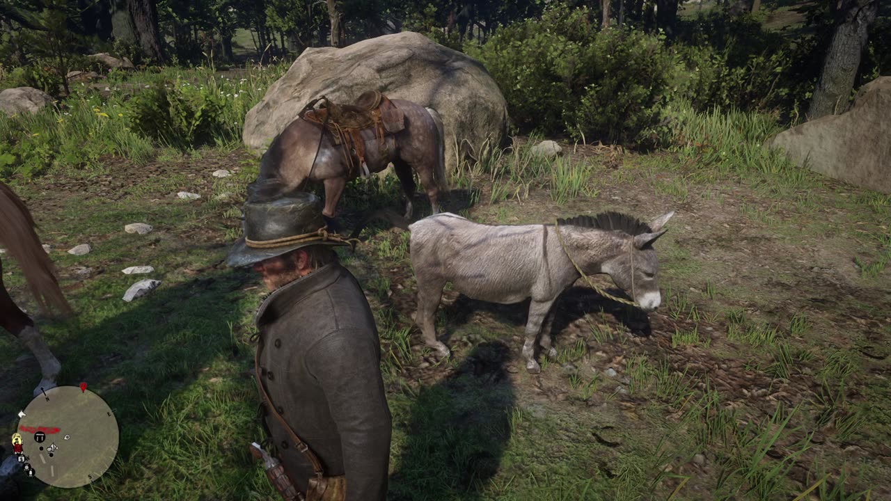 Red Dead Redemption 2 - Kieran sure knows his horses