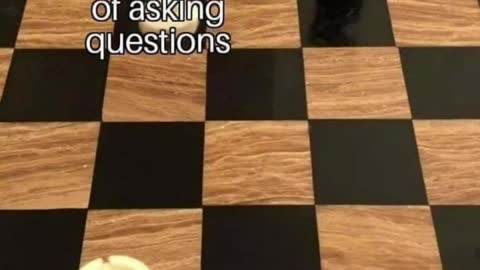 Hilarious memes #shorts