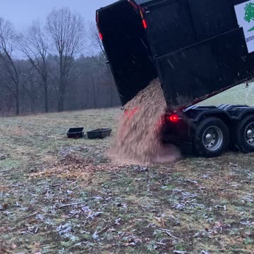 Free wood chips!!