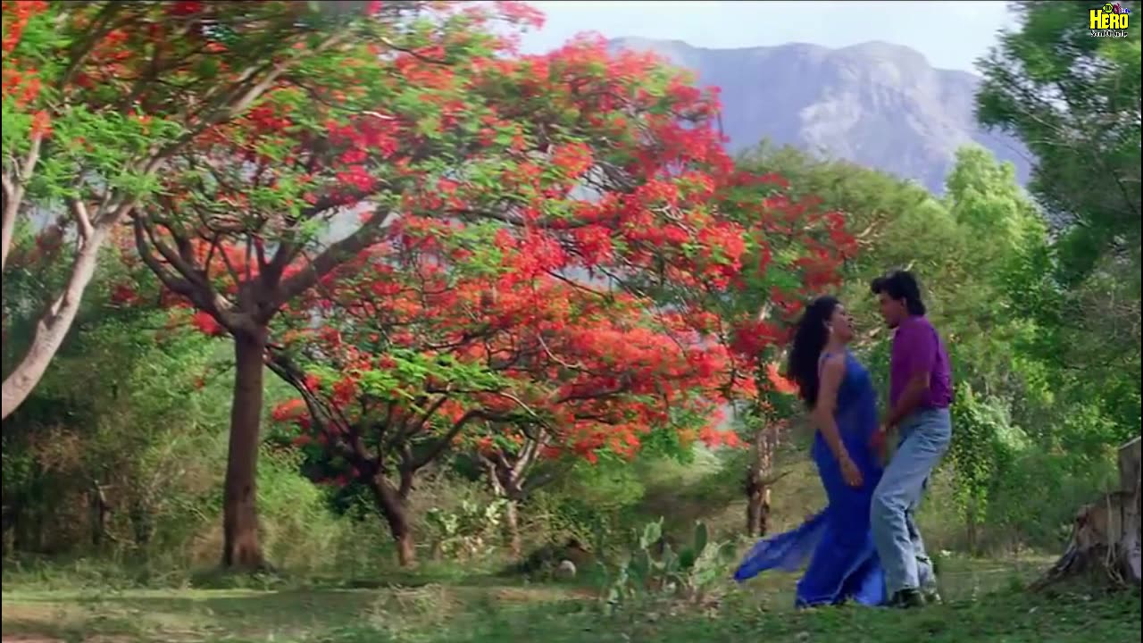 Dhak Dhak Karne Laga-singer-kumar sanu.kavita-Film-Aadmi-Eagle digital jhankar