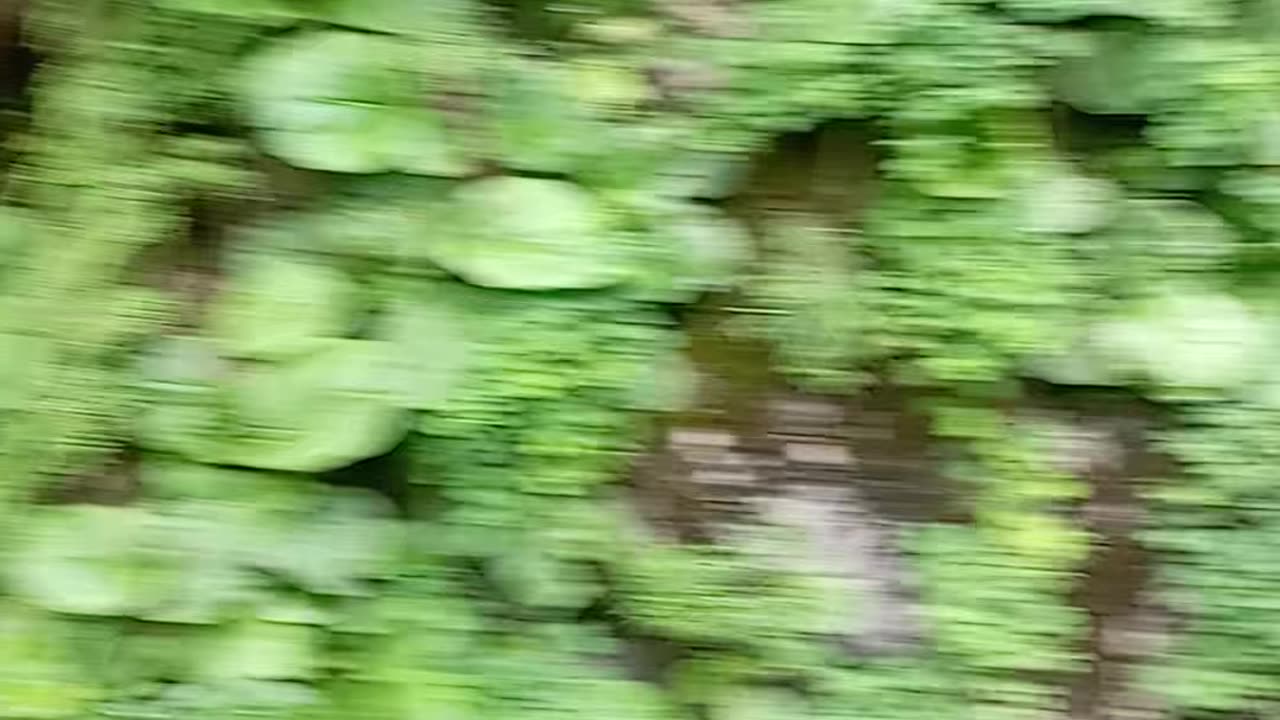 Beautiful valley