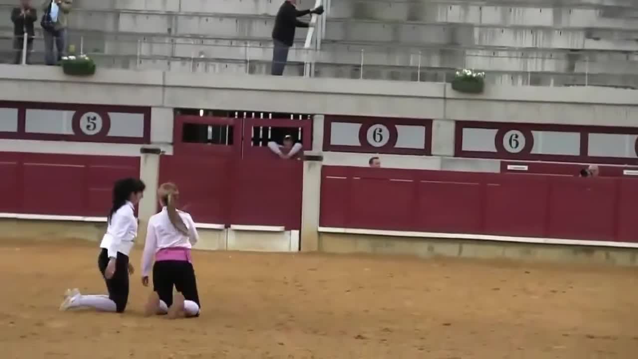 Funny Bullfighting Videos