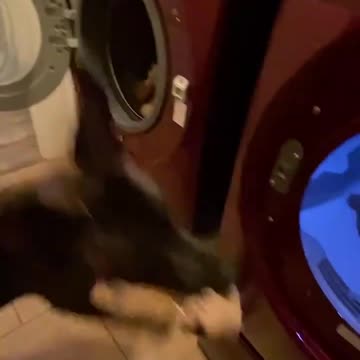 Let us know when they're out of the dryer! 🥰🧺