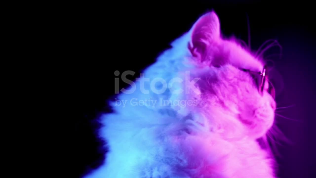 istockphoto