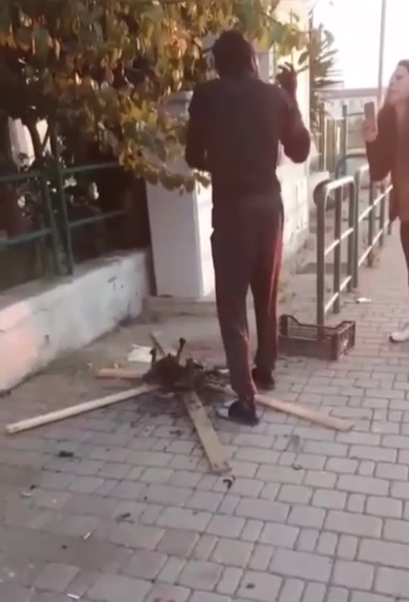 Afrikaner grillt Katze auf offener Straße