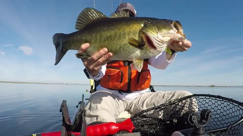 How About This 6.5 Pound Florida Tank