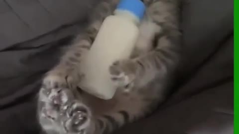 Hora do mama 🍼