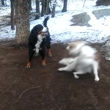 Kaya-Heidi Play!?!? I Don't Schitz For Just Anybody!