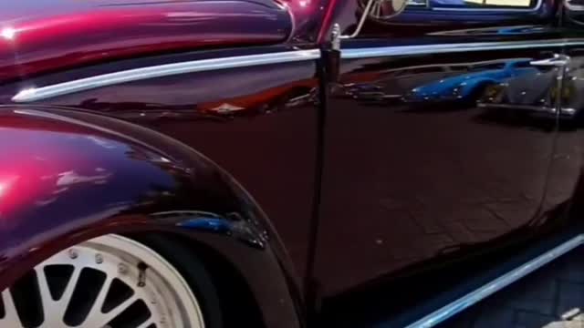 #beetle #cars