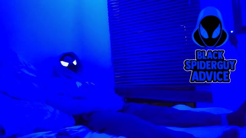 Lofi Vibez With Black Spider Guy