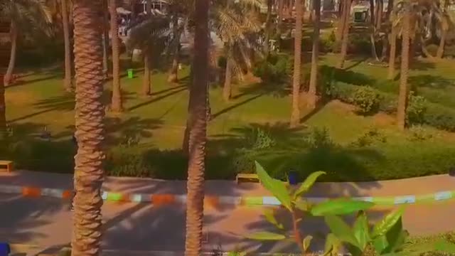 الفراهيدي