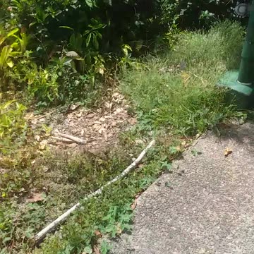 9.10.2024 Welcome to Kuranda