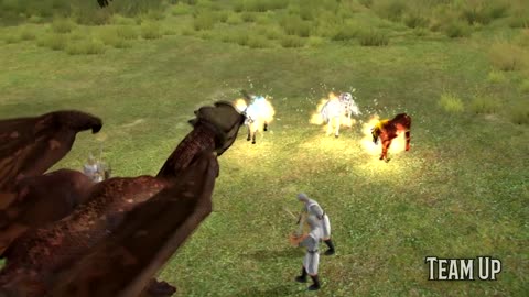 FUNNY VIDEO HORSES