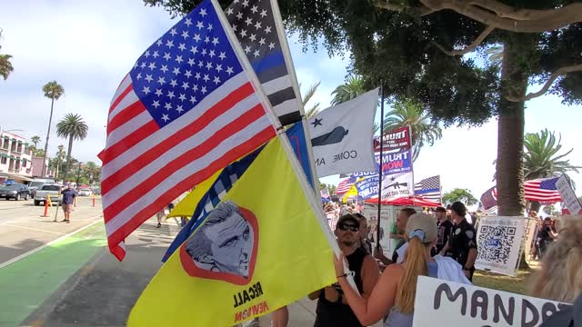 Array of Signs, No Health Mandates, Santa Monica