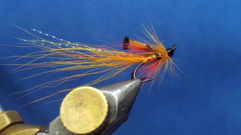 Ally’s shrimp -Salmom Fly