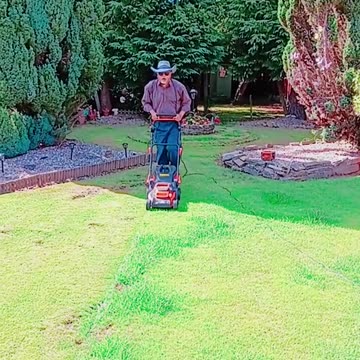 Mr Khan walking and lawn mowing his rear garden to the song Smooth Criminal by Michael Jackson!