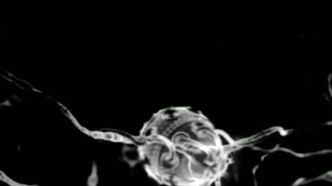 ΝΑΝΟ ΡΟΜΠΟΤ ΣΤΑ ΚΎΤΤΑΡΑ ΤΟΥ ΕΓΚΕΦΑΛΟΥ ΣΤΟΥΣ ΜΠΟΛΙΑΣΜΕΝΟΥΣ