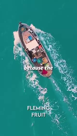 The Truth About Fish