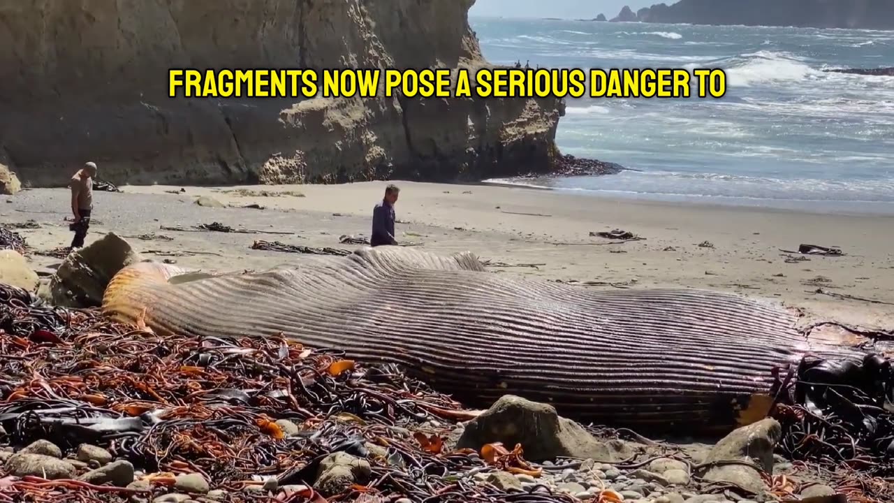 Environment destroyed