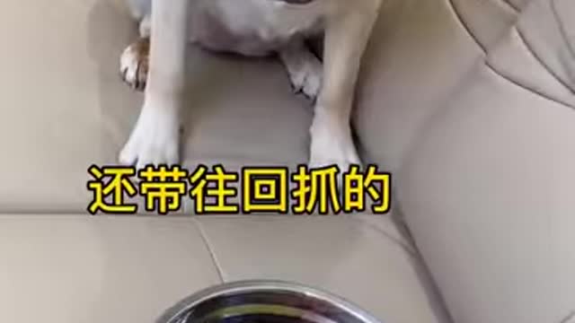 Living in the same house, but why are you so greedy
