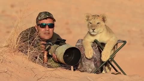 This little lion joined the wildlife photographer