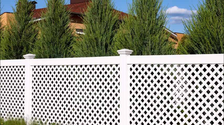 Fence Guys - (912) 416-2786