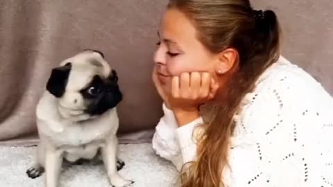 Cutest pug kiss ever