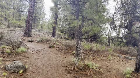 Boat Dock Transition Section of Deschutes River – Central Oregon – 4K