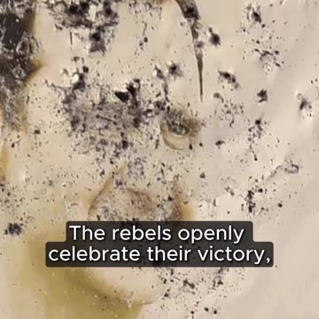 What does the collapse of the Assad regime really mean?