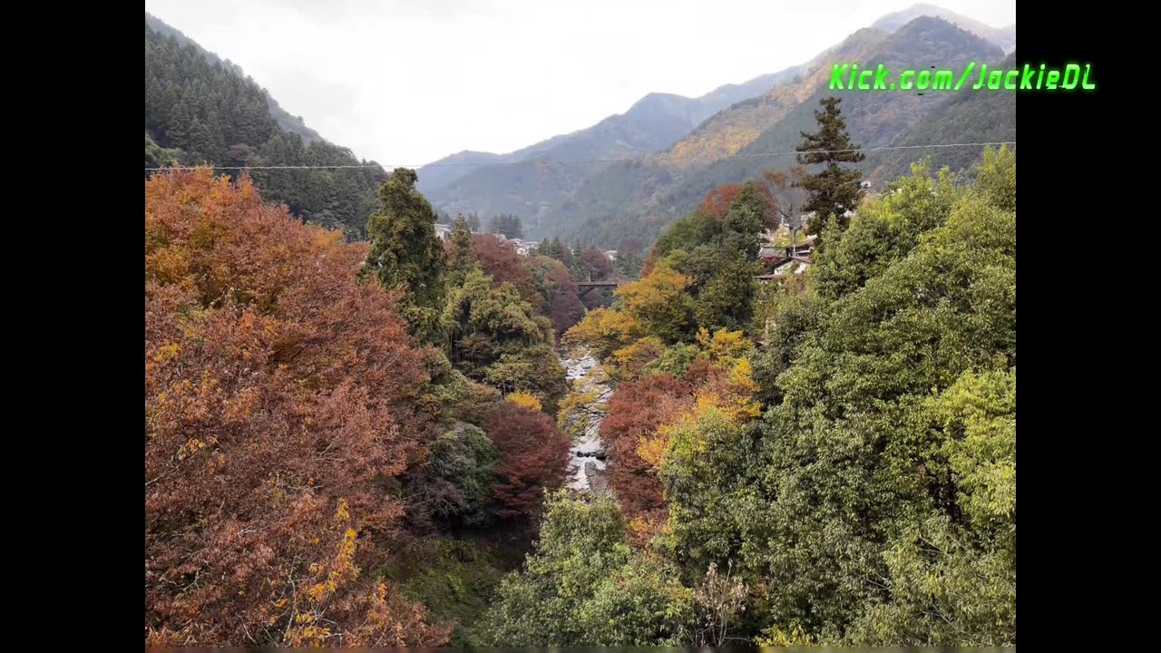 Tokyo to Mount Takao with colorful Autumn Leaves| Japan