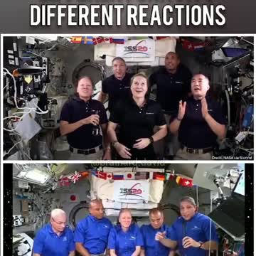 DIFFERENT GRAVITY DIFFERENT REACTIONS