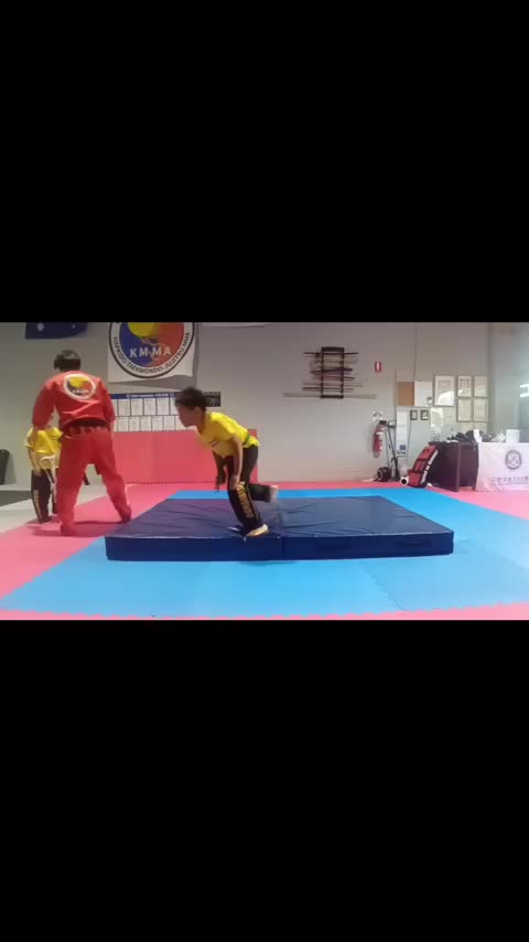 Hapkido