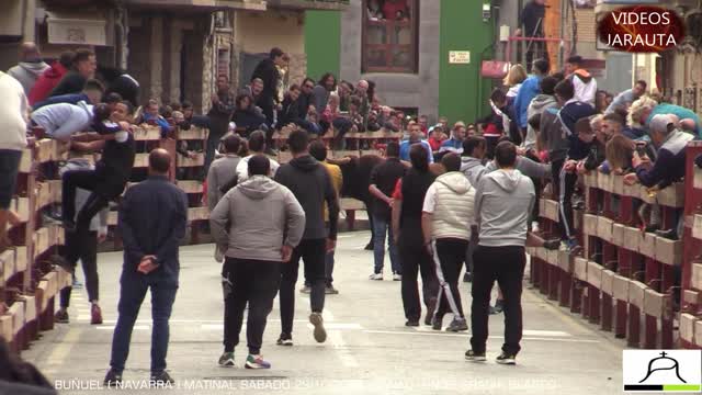 BUÑUEL ( NAVARRA ) MATINAL TOROS EN CALLE ( SÁBADO 29 OCTUBRE 2022 ) HNOS.GRACIA BLASCO