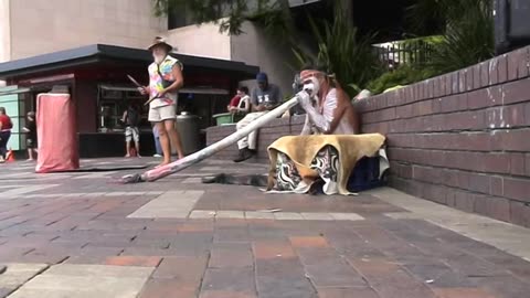 Darren950 - SYDNEY AUSTRALIA | Sony DCR-PC330 Camera Video (2008)