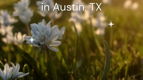 Comprehensive OCD and Anxiety Treatment in Austin, TX