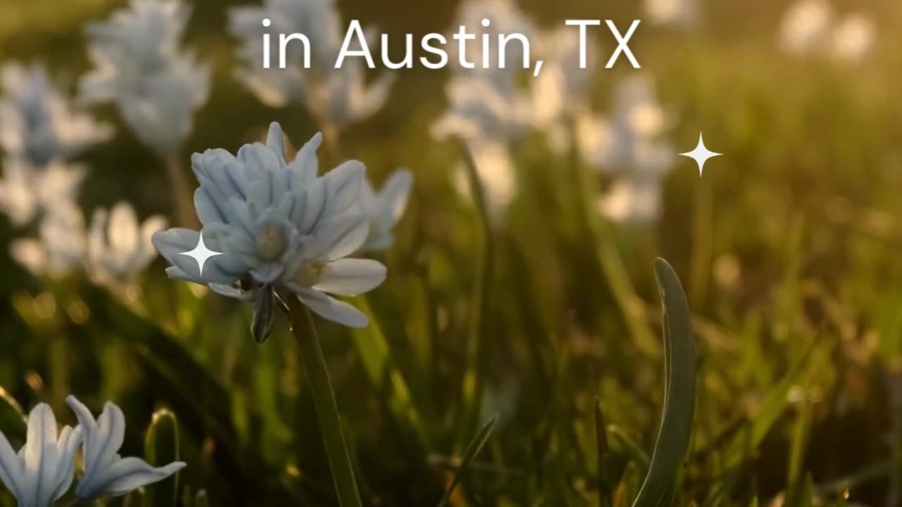 Comprehensive OCD and Anxiety Treatment in Austin, TX