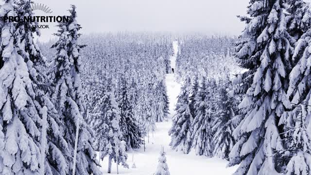 En liten promo for DinDyrebutikk.no