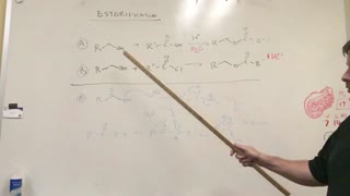 Esterification of Alcohols