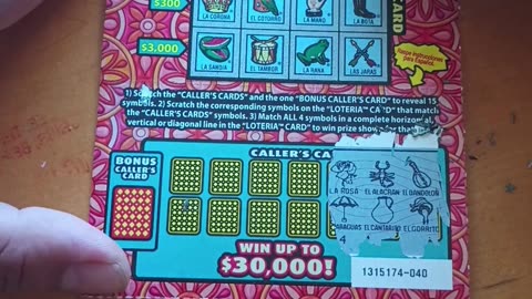 Daily Gamble for a Jackpot 032