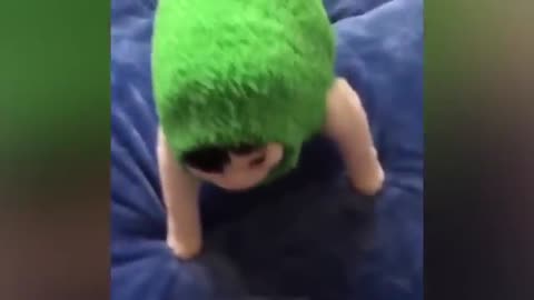 Funny Cats and Dogs Video 2024