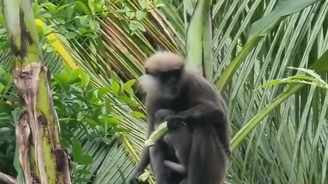 Very hungry, what to do