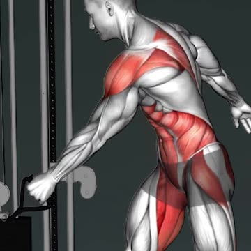 Lyfta Best Workout Exercises App