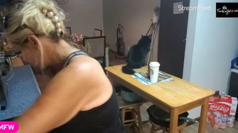 MFW 24Hr livestream part 2 !PT2