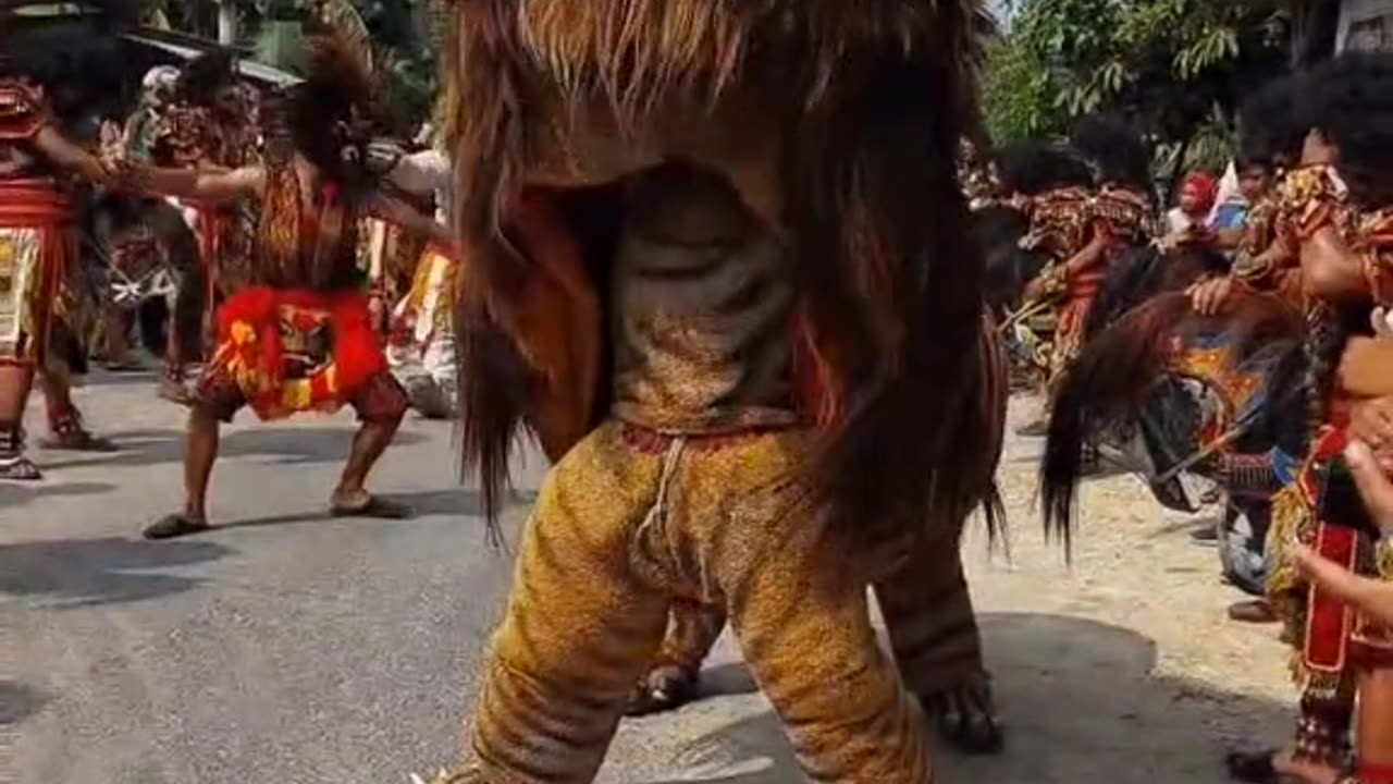 lion barong performance on the street