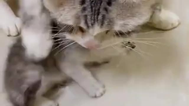 Mom first
