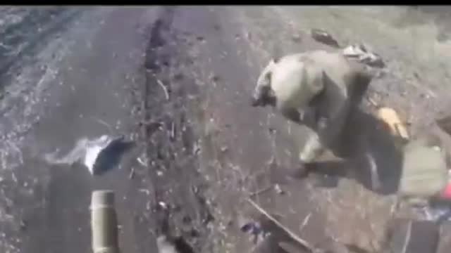 04.09.2022. Demilitarization and denazification of Ukraine!!!