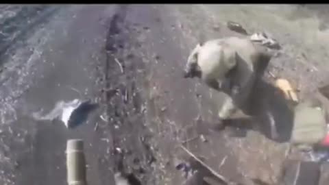 04.09.2022. Demilitarization and denazification of Ukraine!!!