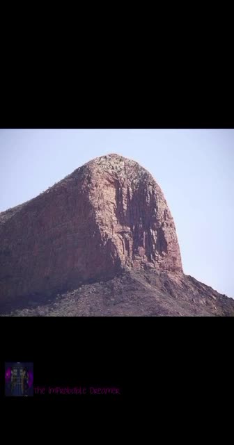 Have you heard of the Paradise Forest This is all that's left of her... stumps.