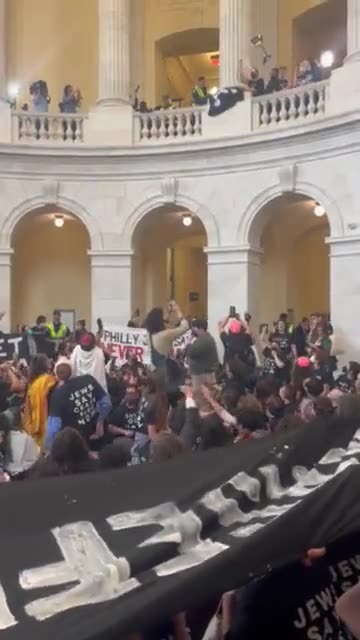 A group of pro Palestinian insurrectionists stormed the Capitol