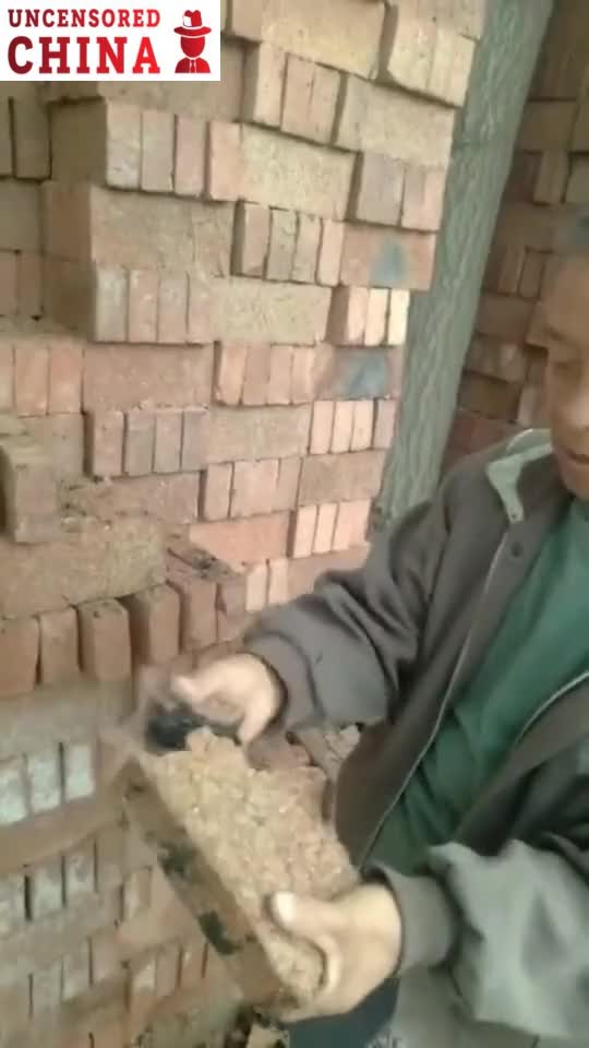 Chinese Tofu Construction - House Building Bricks